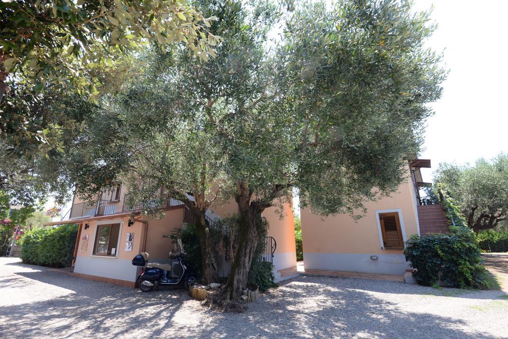 Residence Villa Andrea Marina di Camerota Exteriér fotografie